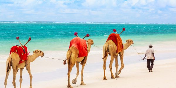 Kenya-Beaches-Banner-